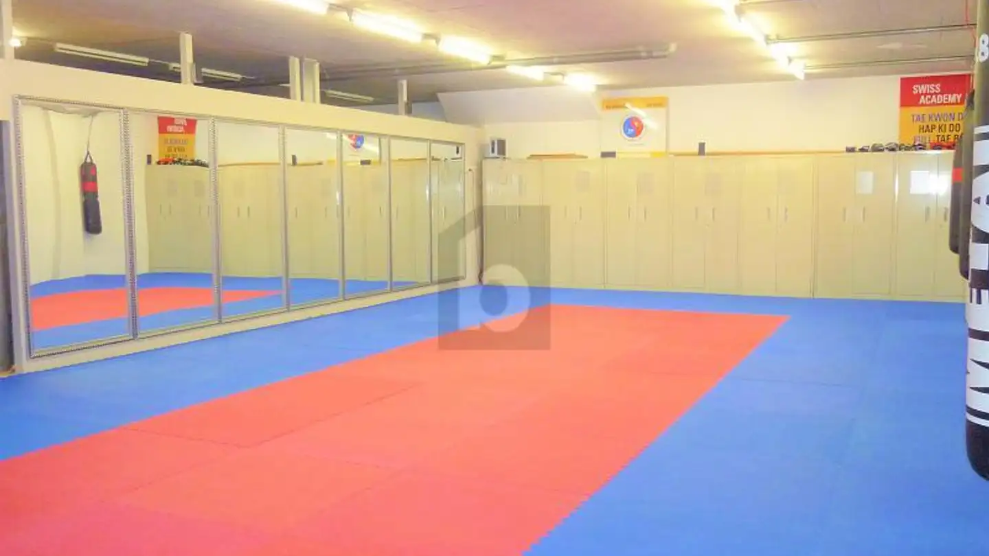 Industrial property for rent - 1305 Penthalaz - Photo 2