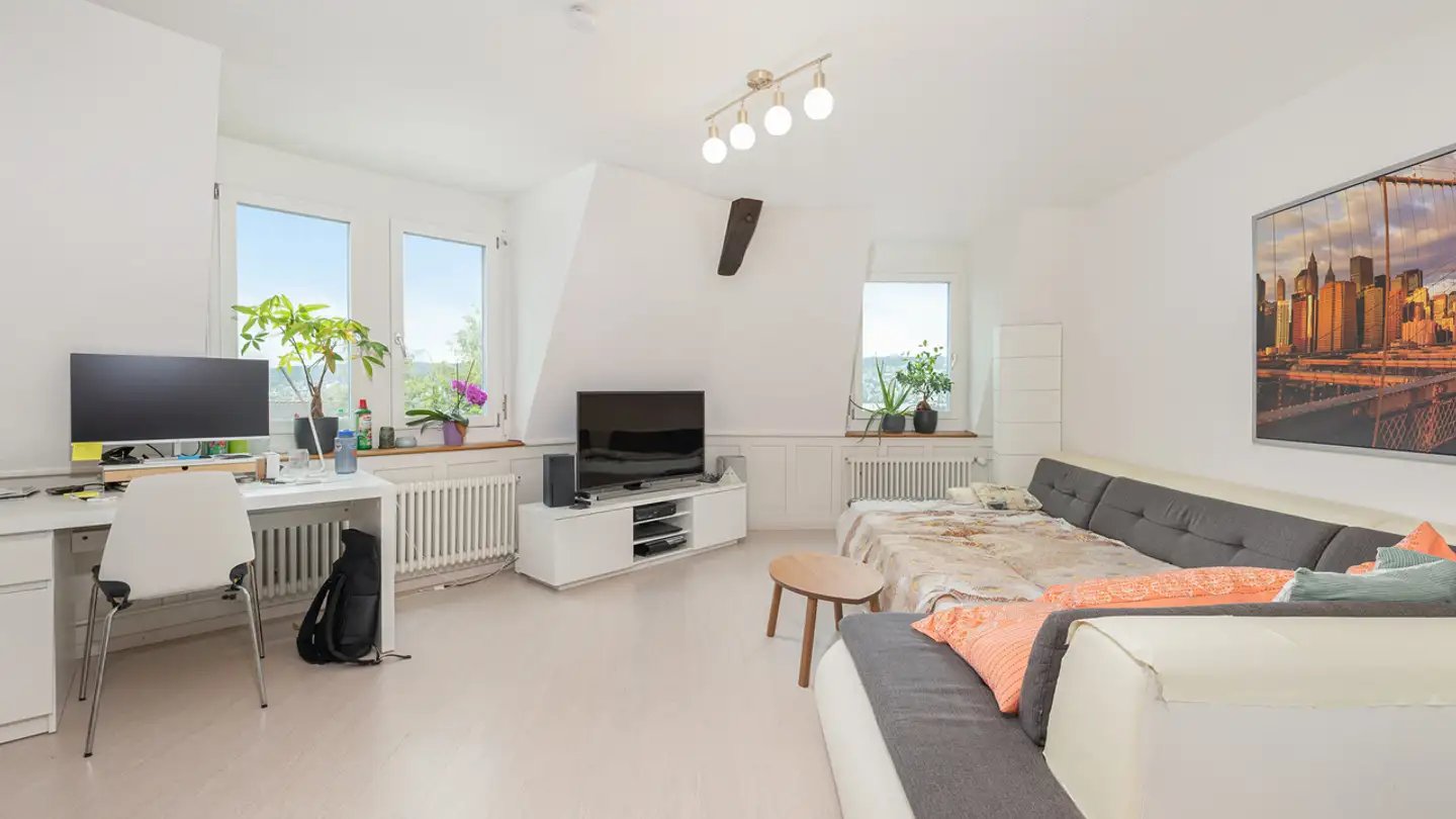 Höhlenhaus kaufen - Ludretikonerstrasse, 8800 Thalwil - Foto 4