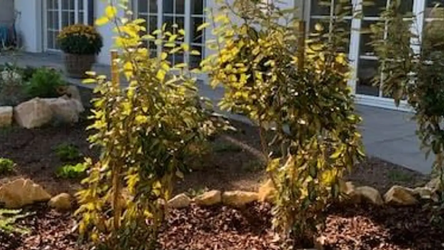 Apartment for rent - Terrassenweg 5, 4203 Grellingen