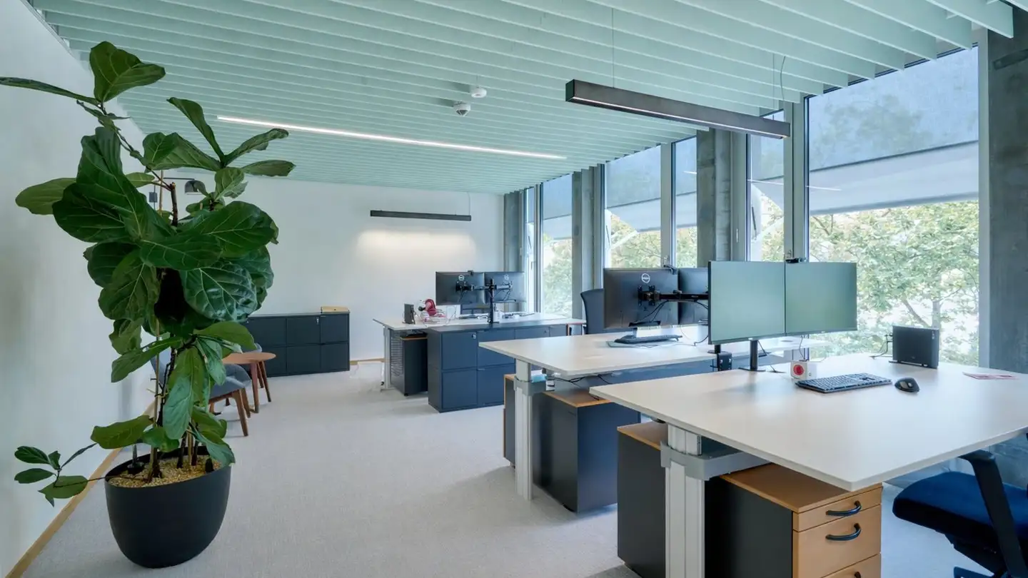 Bureau à louer - Theaterstrasse 12, 8001 Zürich - Photo 2