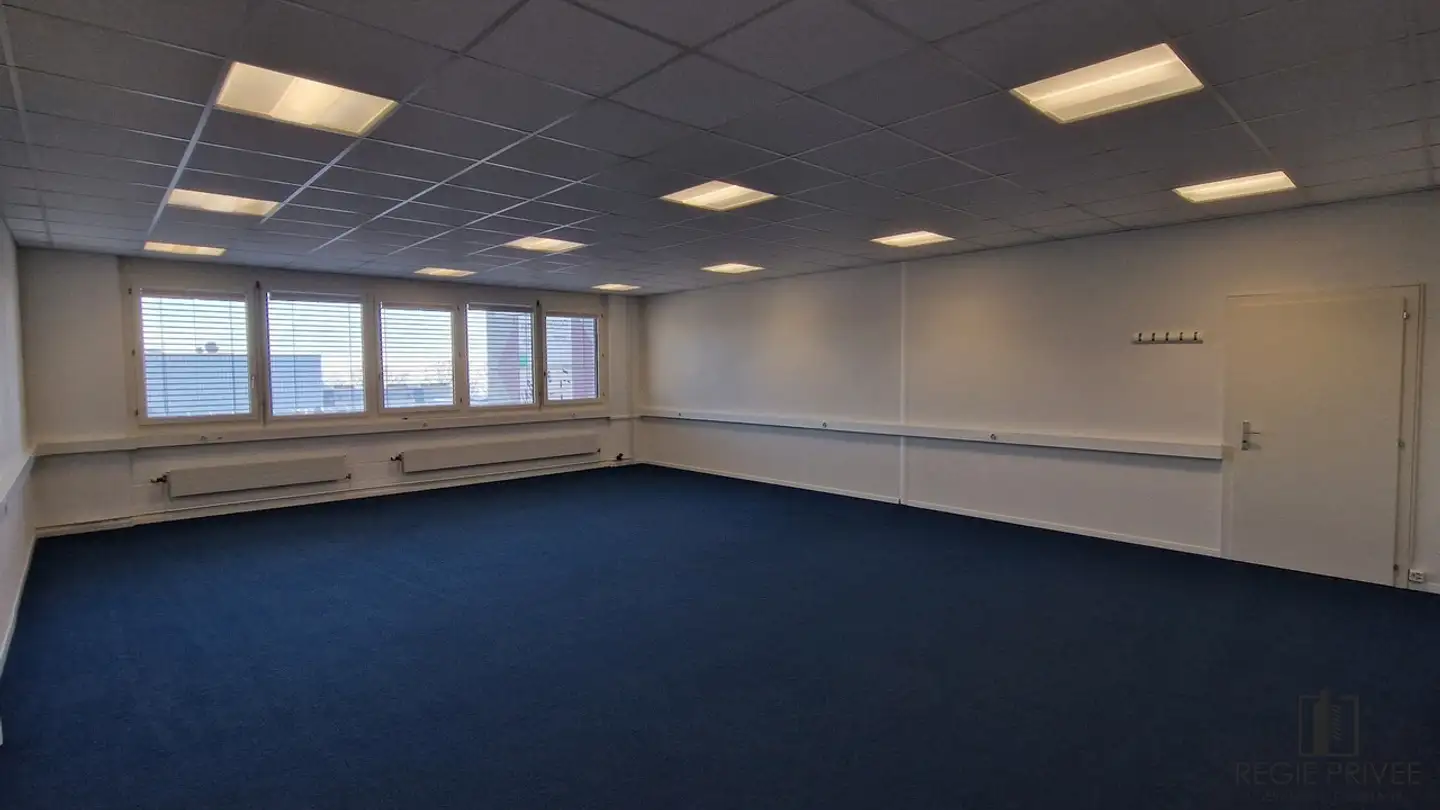 Commercial à louer - Avenue De Riond-Bosson 12, 1110 Morges