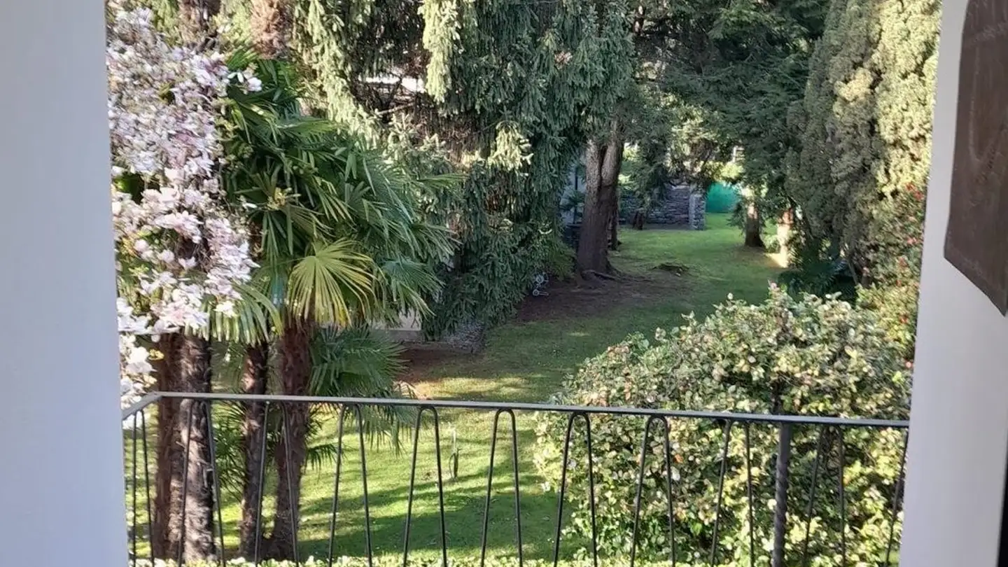 Wohnung mieten - Via Pancaldi-Mola, 6612 Ascona - Foto 2