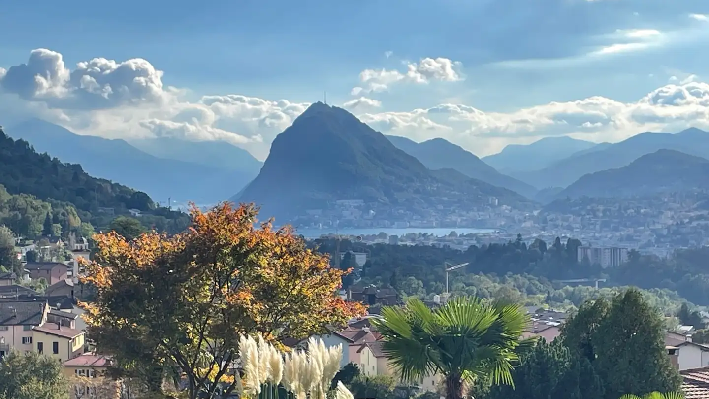 Wohnung kaufen - Via Roigo, 6965 Cadro - Foto 3