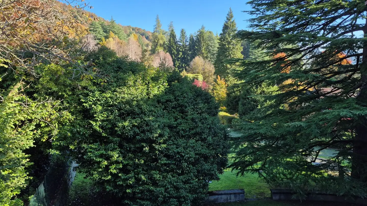 Wohnung kaufen - 6822 Arogno