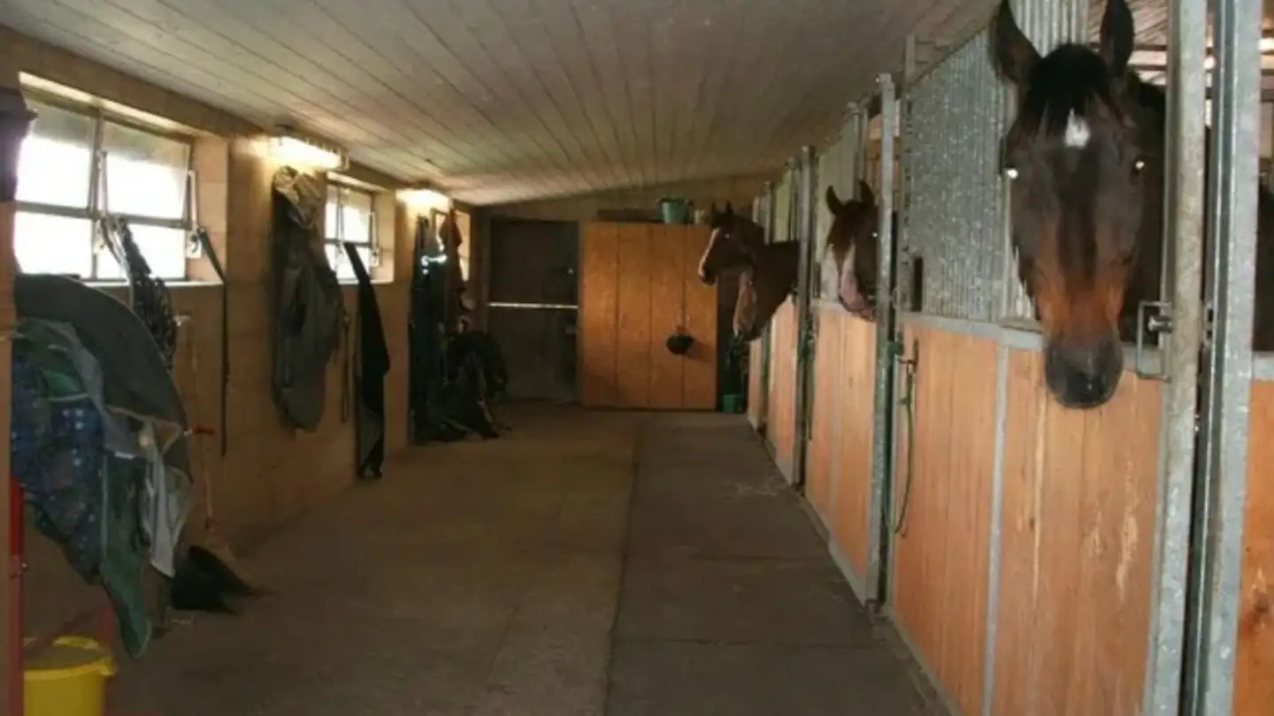 Appartamento in affitto - 4543 Deitingen - Photo 4