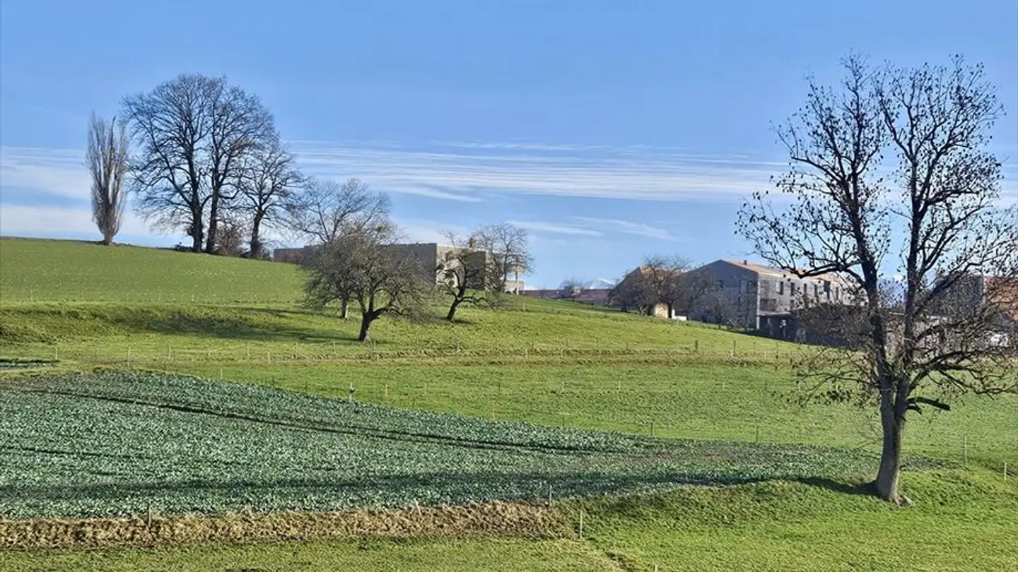 Appartement à louer - Rue Marie-Favre 30, 1754 Avry-sur-Matran - Photo 3