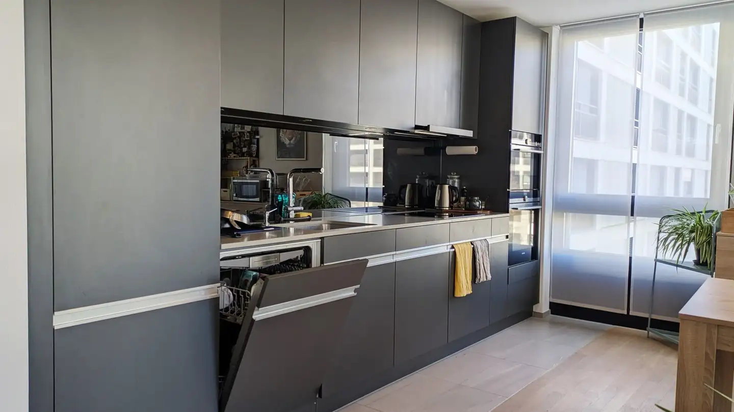 Furnished apartment for rent - 8152 Glattpark (Opfikon) - Photo 3