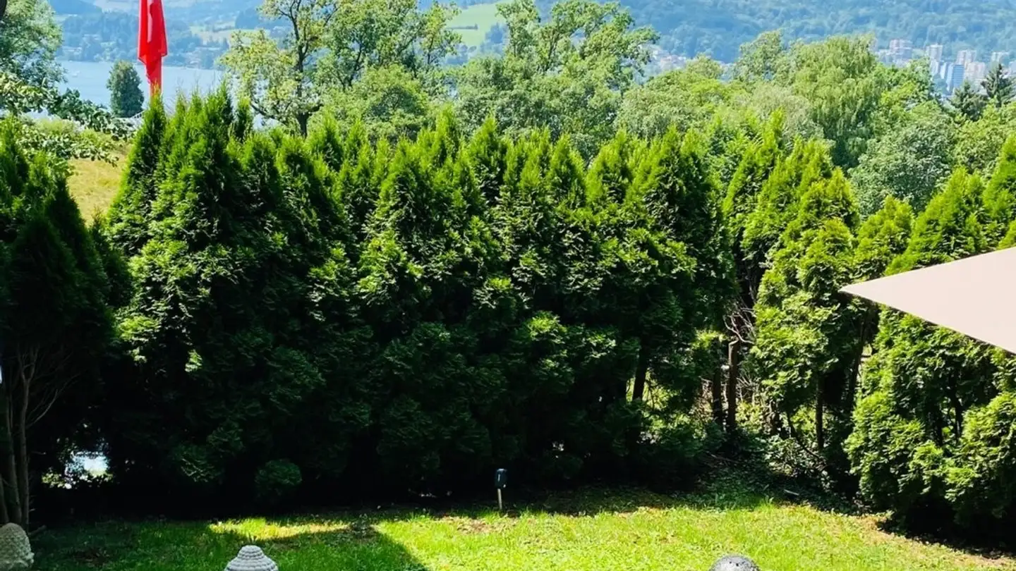 Single room for rent - Seeburgstrasse, 6006 Luzern - Photo 2