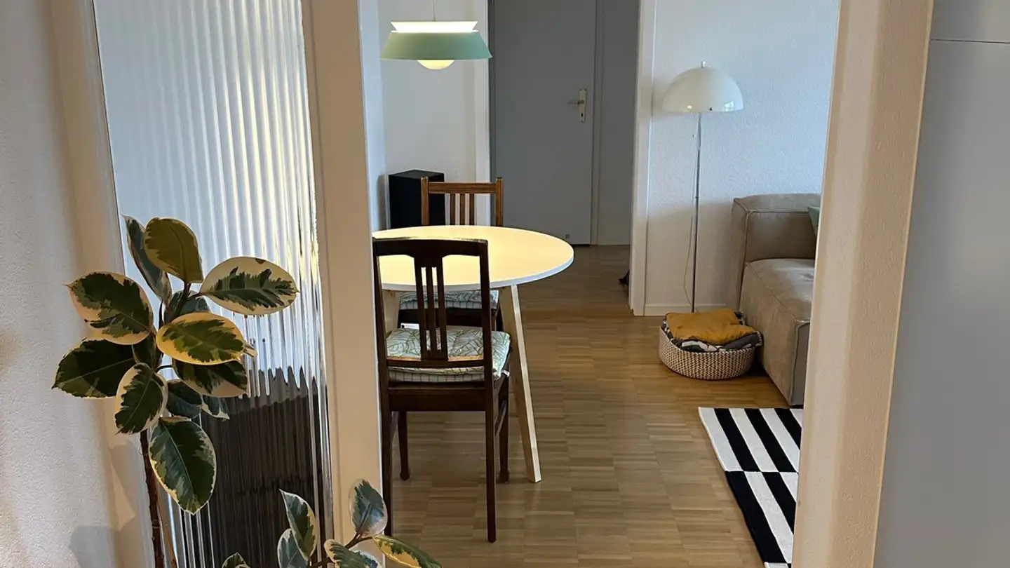 Wohnung mieten - 6300 Zug