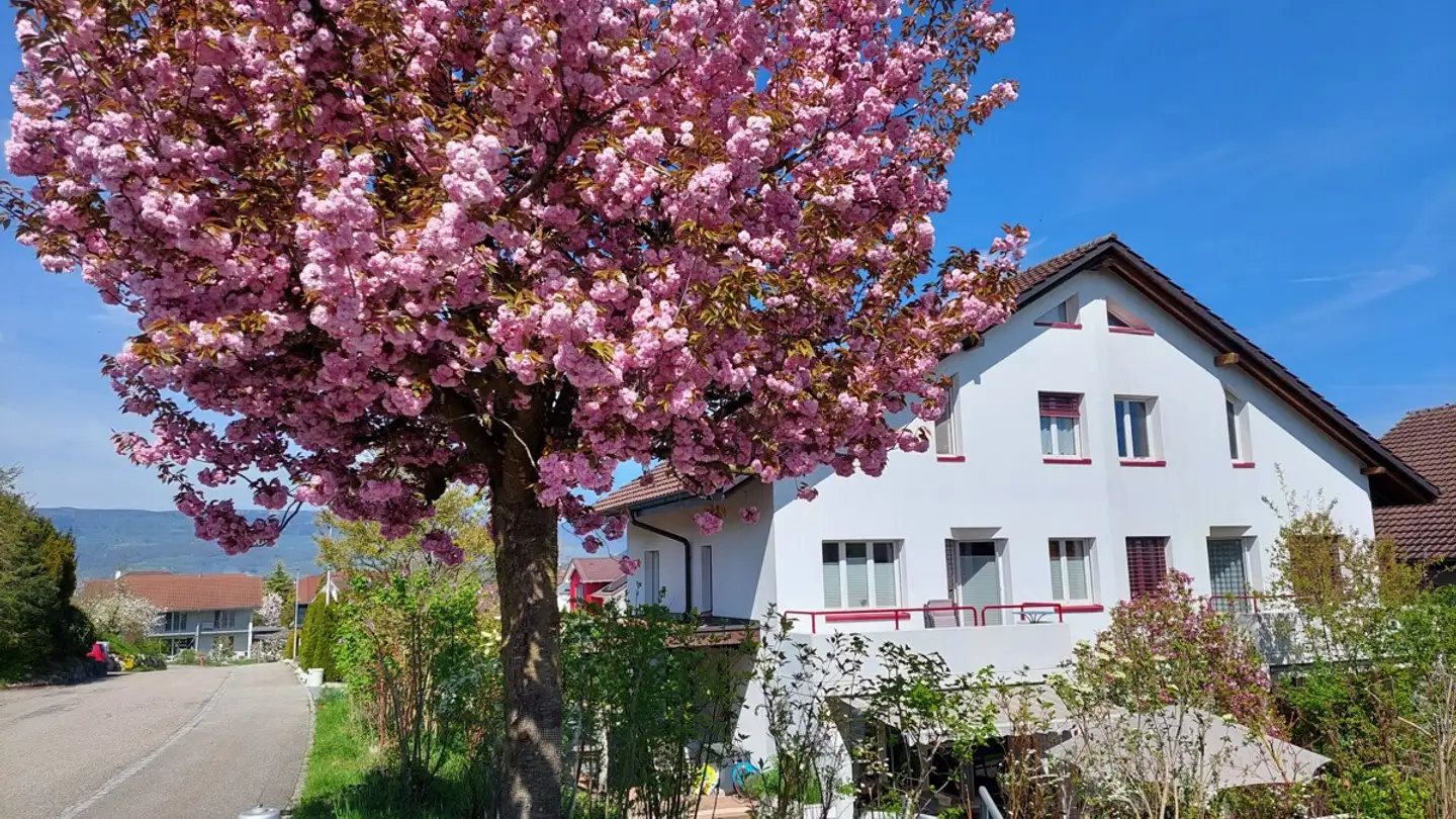 Semi-detached house for sale - 4557 Horriwil