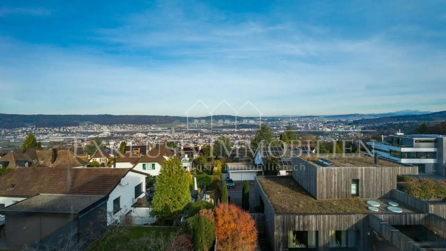 Single house for sale - 8962 Bergdietikon