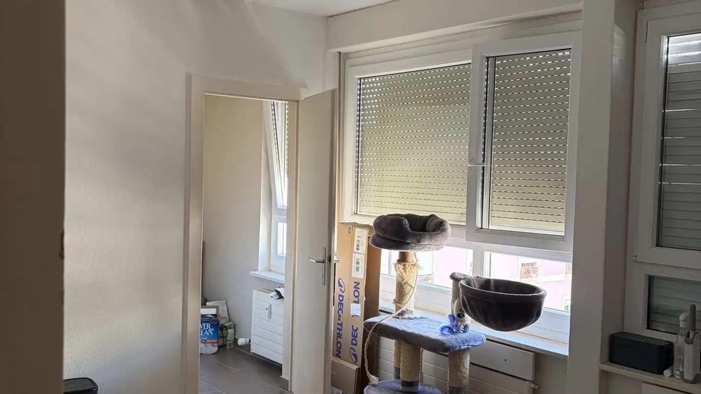 Wohnung mieten - Rue De Berne 34, 1201 Genève