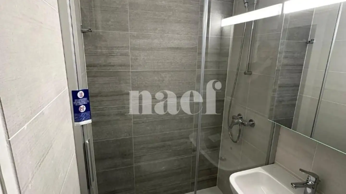 Appartement à louer - Avenue Tronchet 30, 1226 Thônex - Photo 2