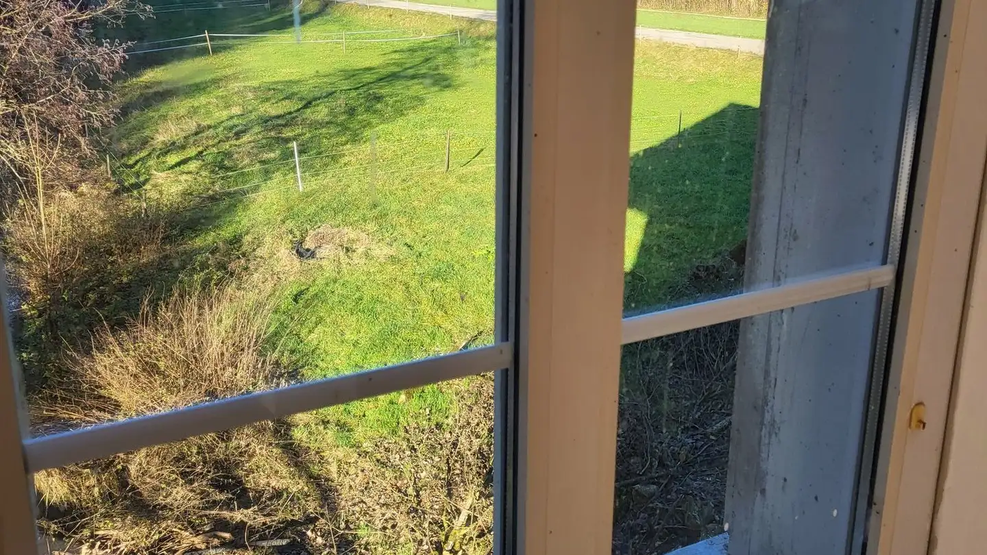 Residential building for sale - 3437 Rüderswil - Photo 3