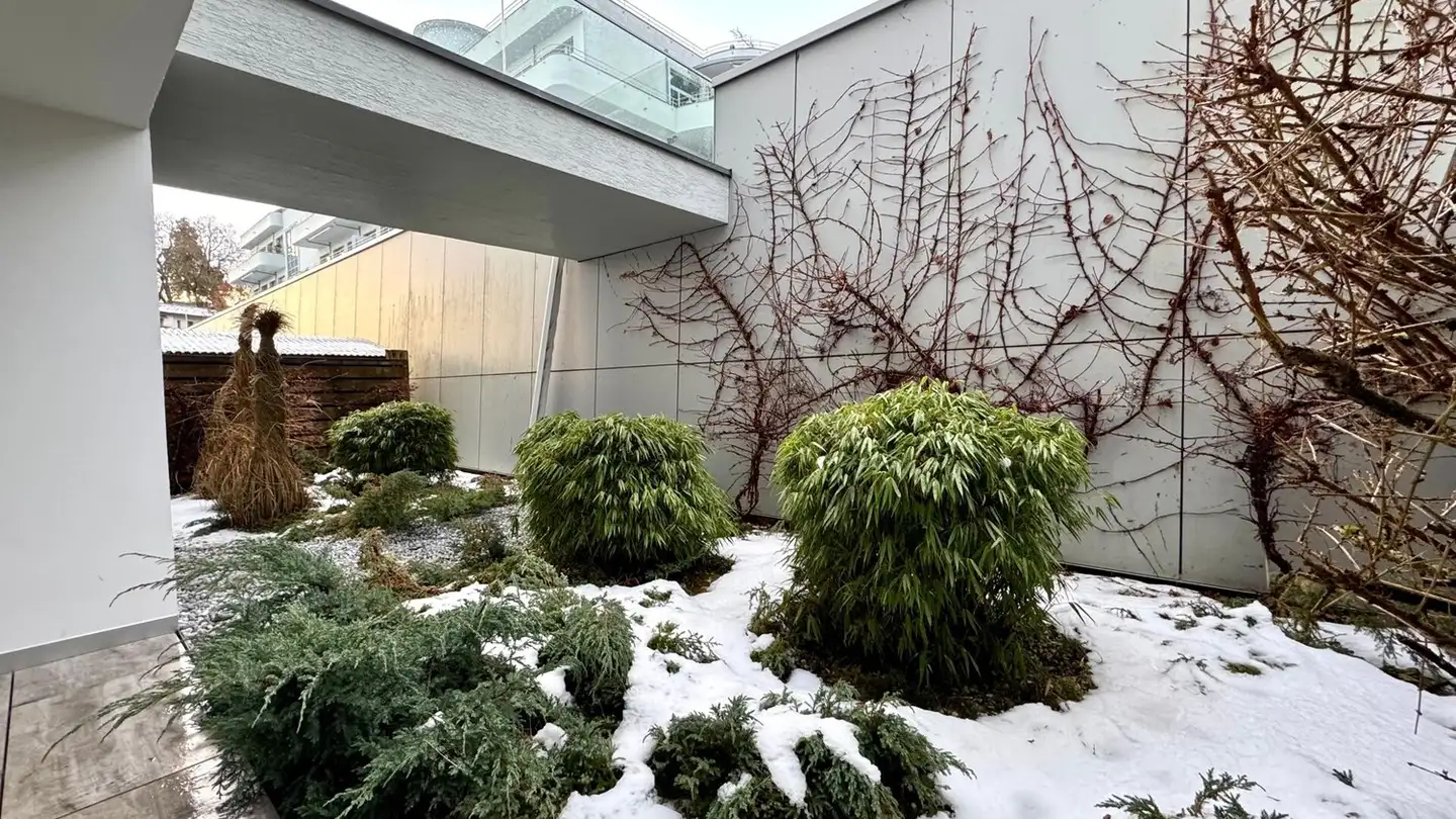 Apartment for rent - Schlossbergstrasse 38, 8820 Wädenswil - Photo 3