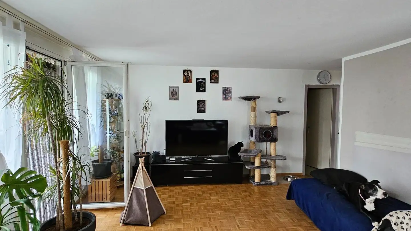 Wohnung mieten - Oberfeldweg 5, 3250 Lyss