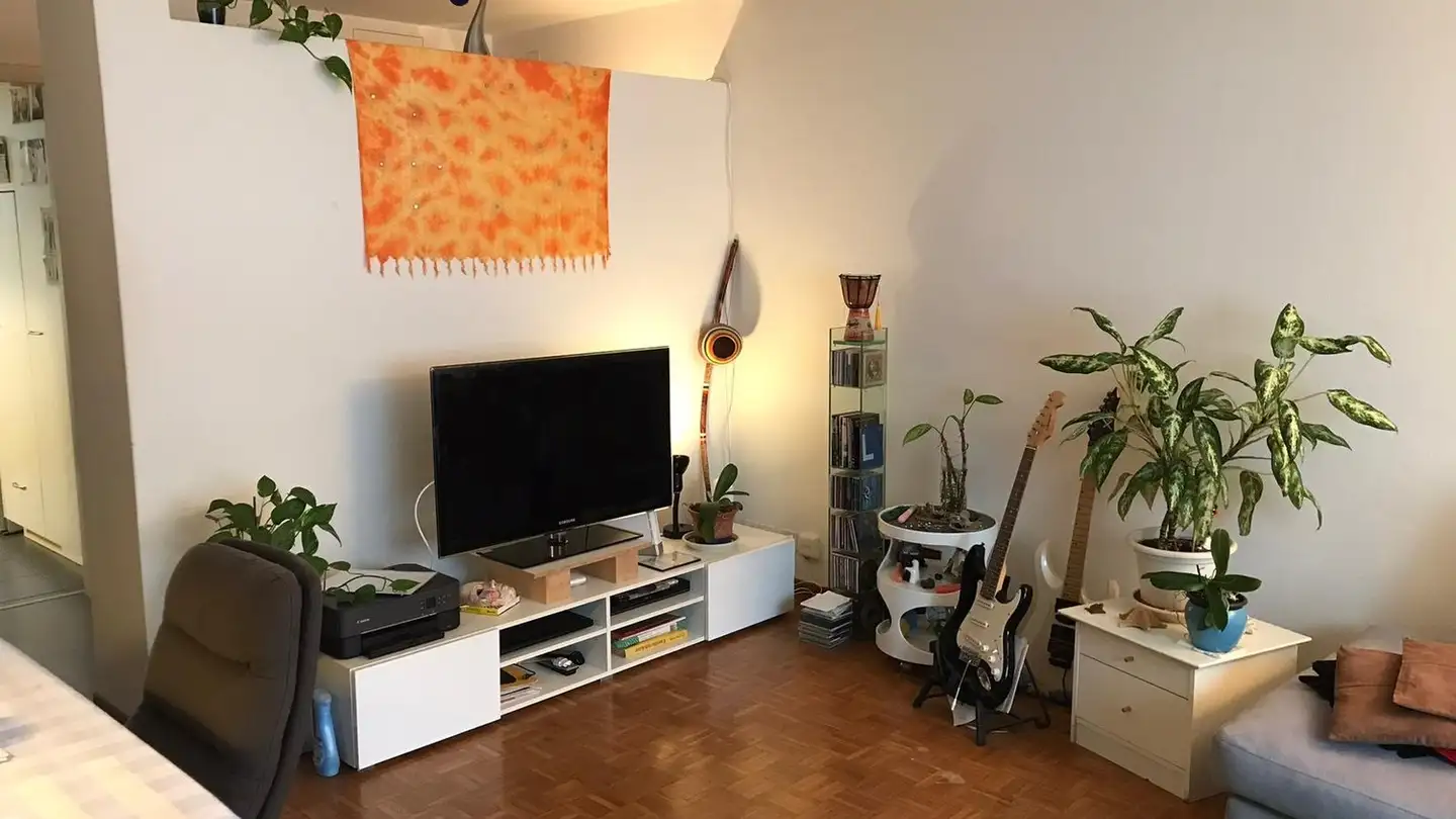 Wohnung mieten - 8055 Zürich
