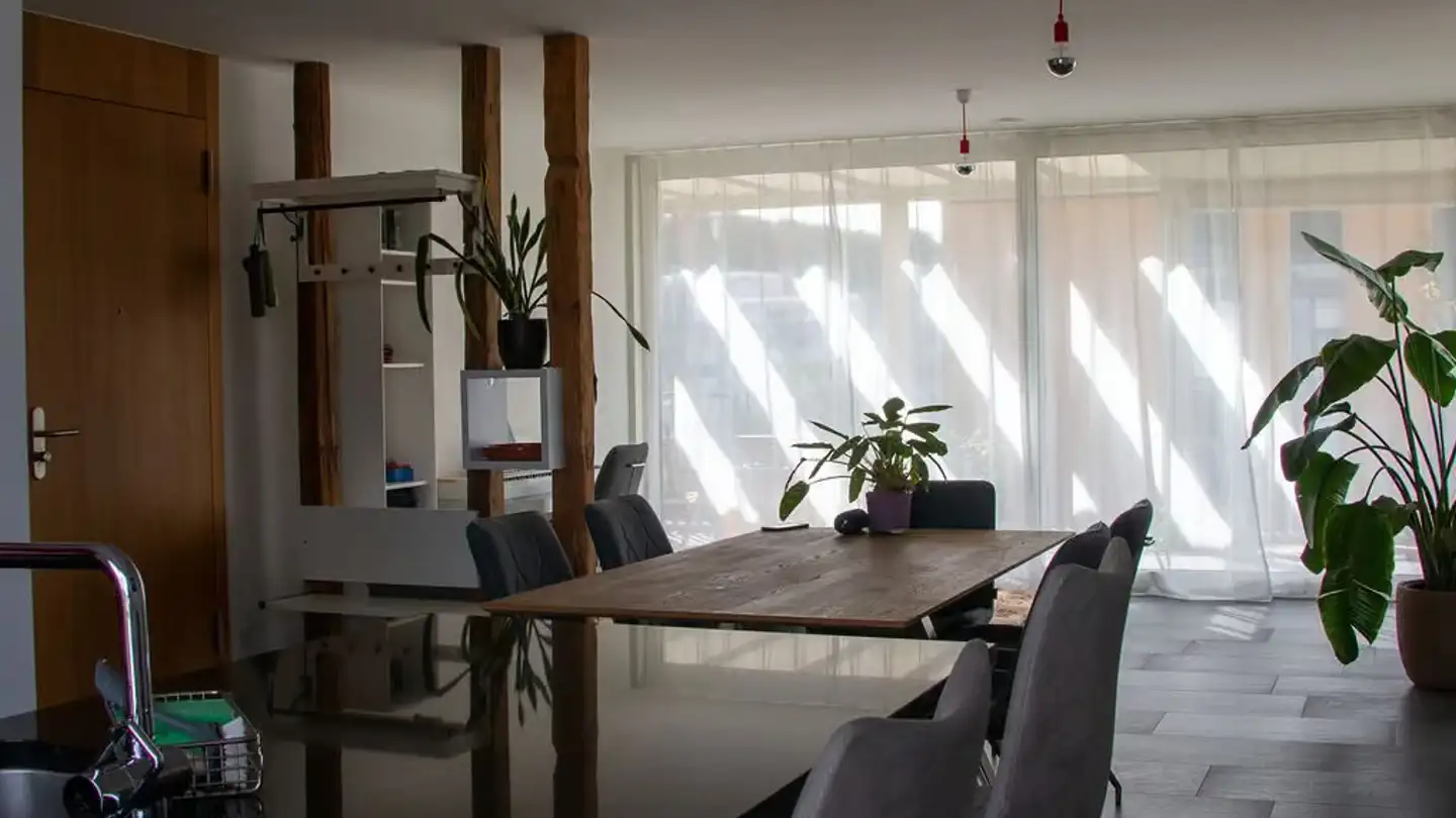 Furnished apartment for rent - Mühlackerstrasse 69, 8046 Zürich
