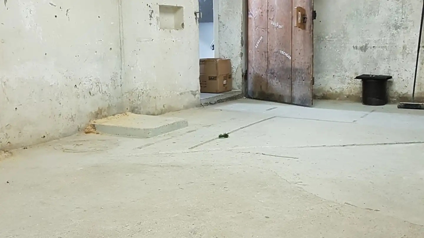 Commercial à louer - Hauptstrasse 8, 3250 Lyss