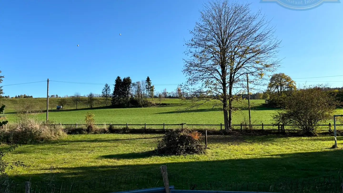 Casa singola in vendita - 2718 Lajoux JU - Photo 3