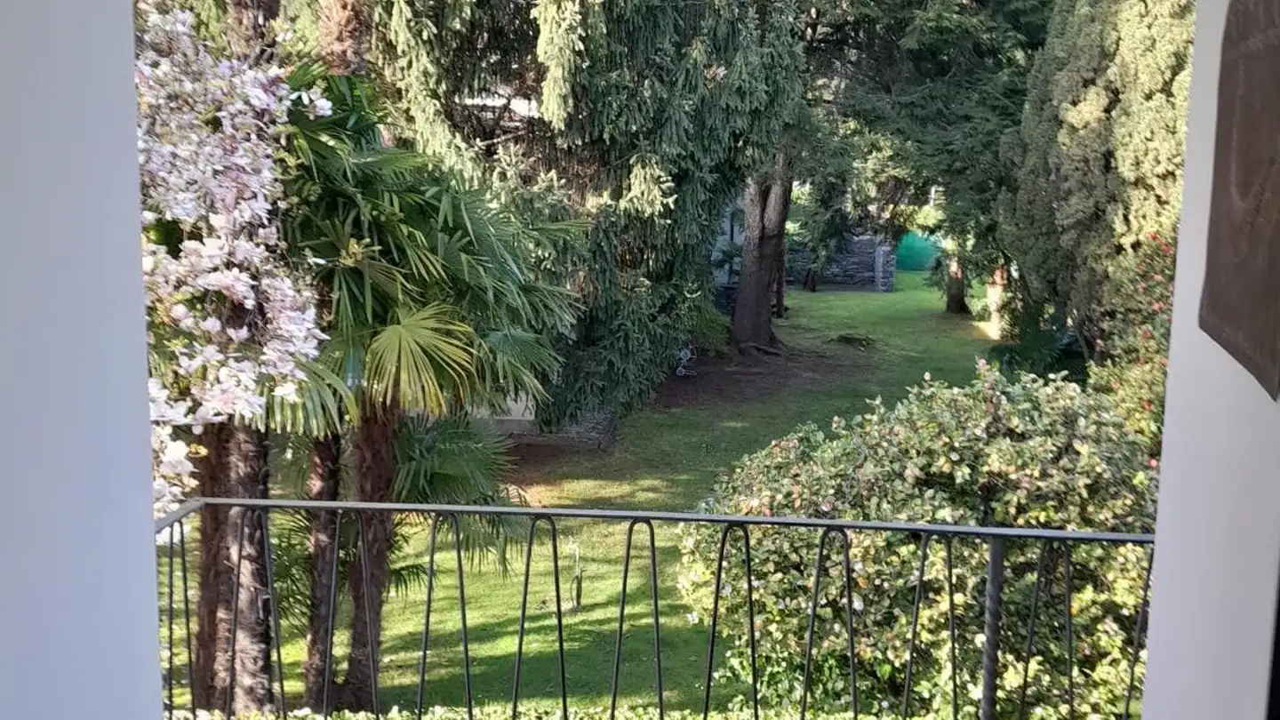 Wohnung mieten - Via Pancaldi-Mola, 6612 Ascona