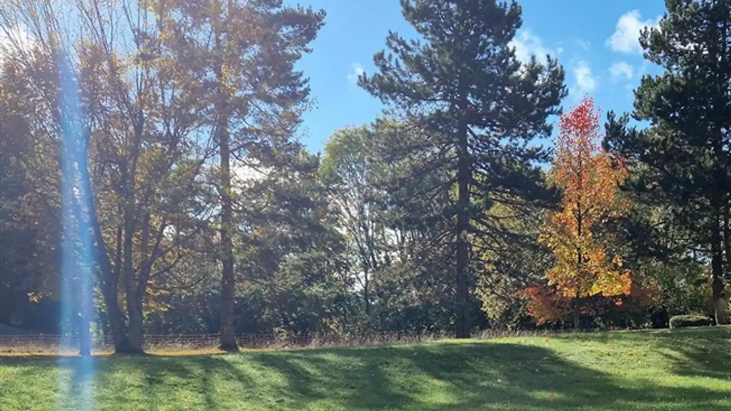 Appartamento in vendita - 1066 Epalinges - Photo 2