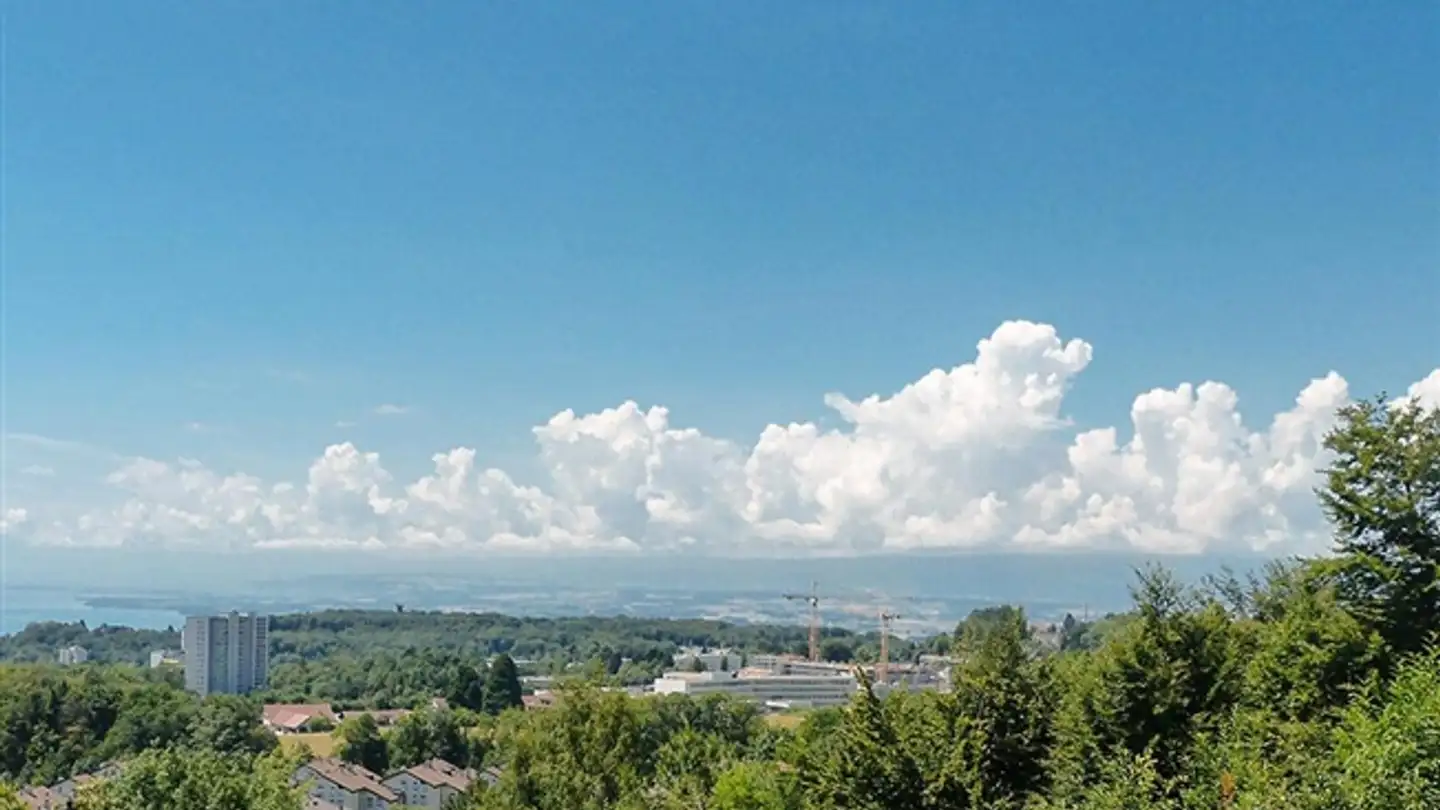 Appartamento in vendita - 1066 Epalinges - Photo 3