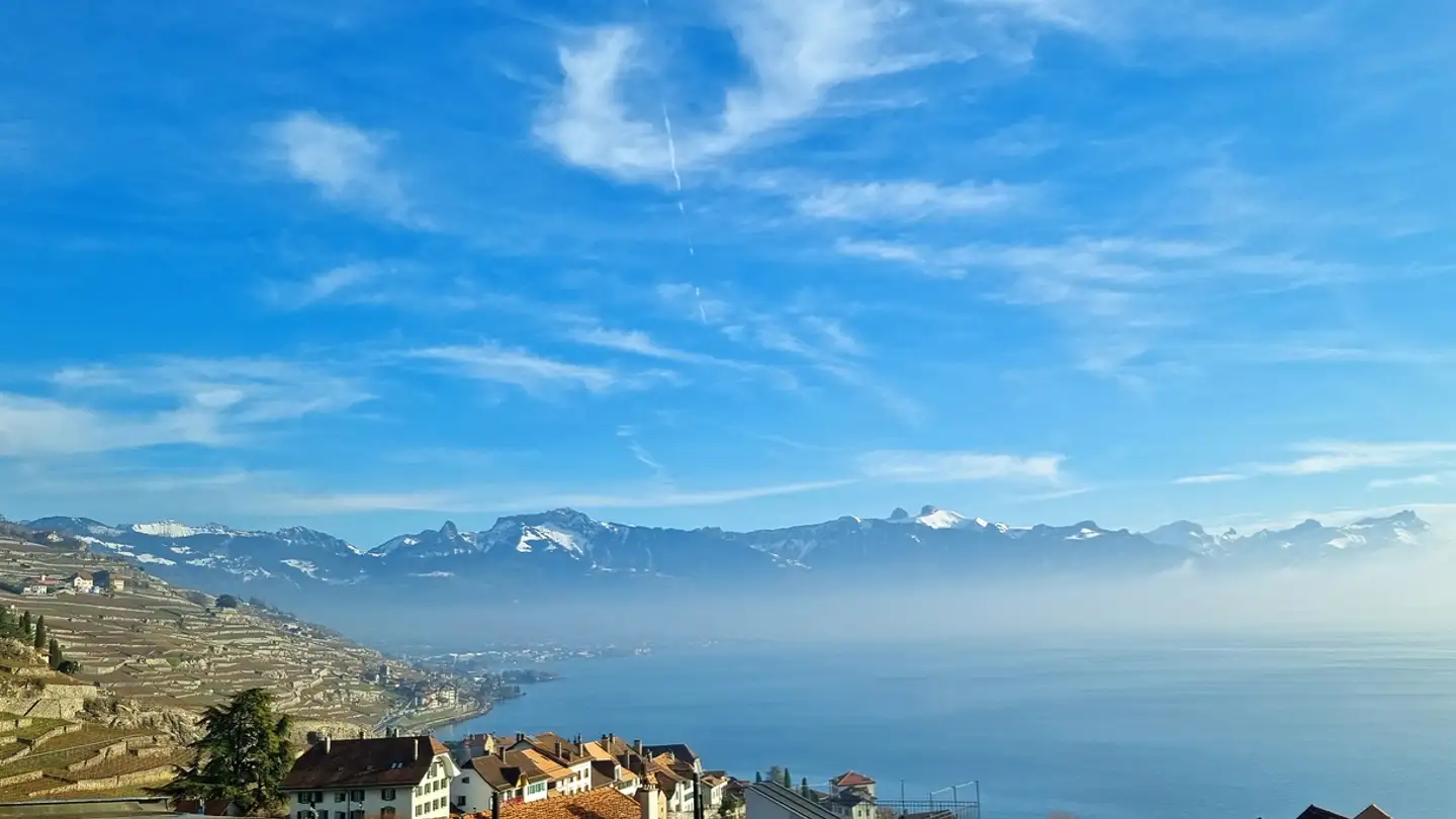 Single house for sale - 1071 Rivaz