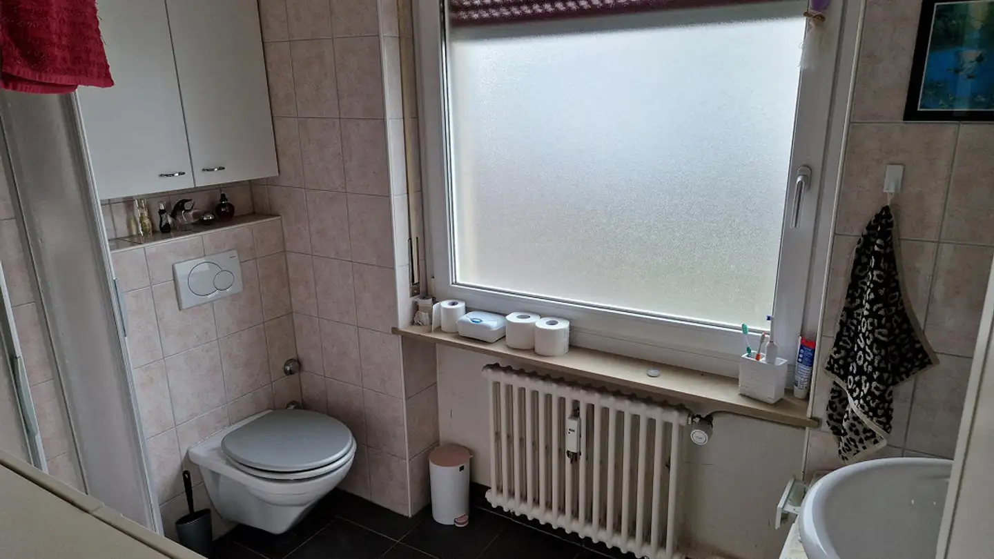 Apartment for rent - Kleine Allmend 1, 4450 Sissach - Photo 2