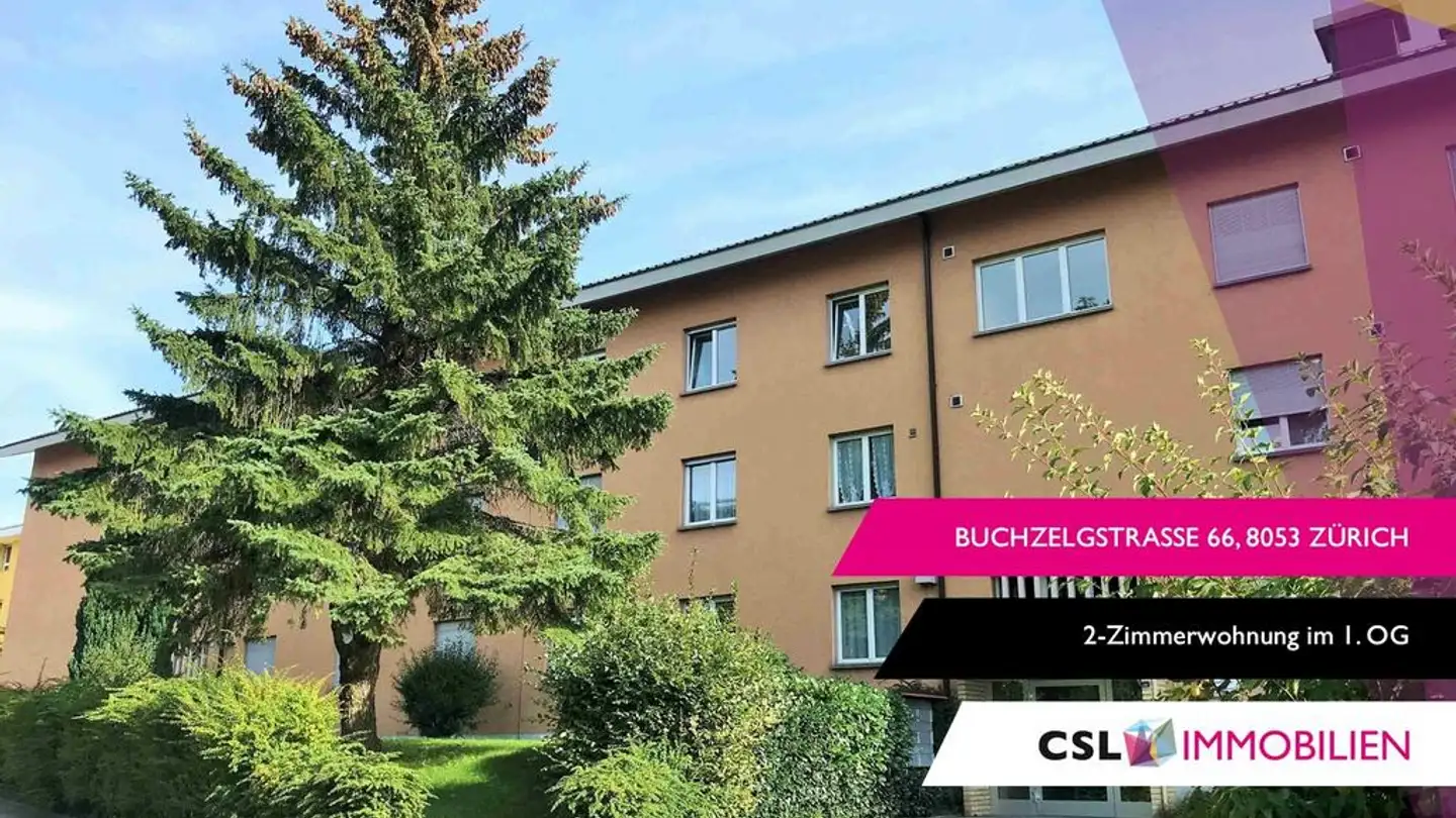 Wohnung mieten - Buchzelgstrasse 66, 8053 Zürich