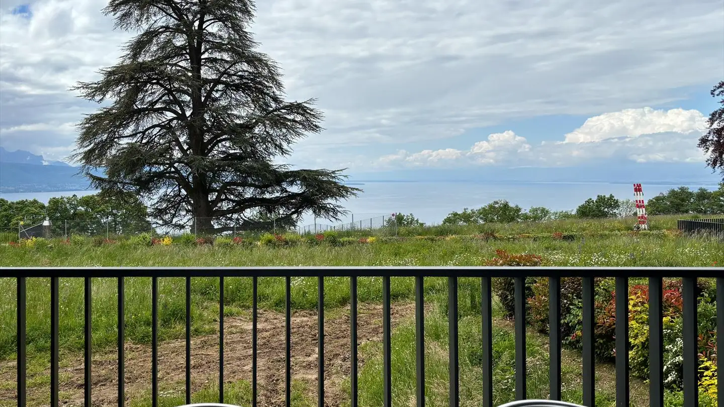 Appartamento ammobiliato in affitto - Chemin Du Signal 14, 1070 Puidoux - Foto 3