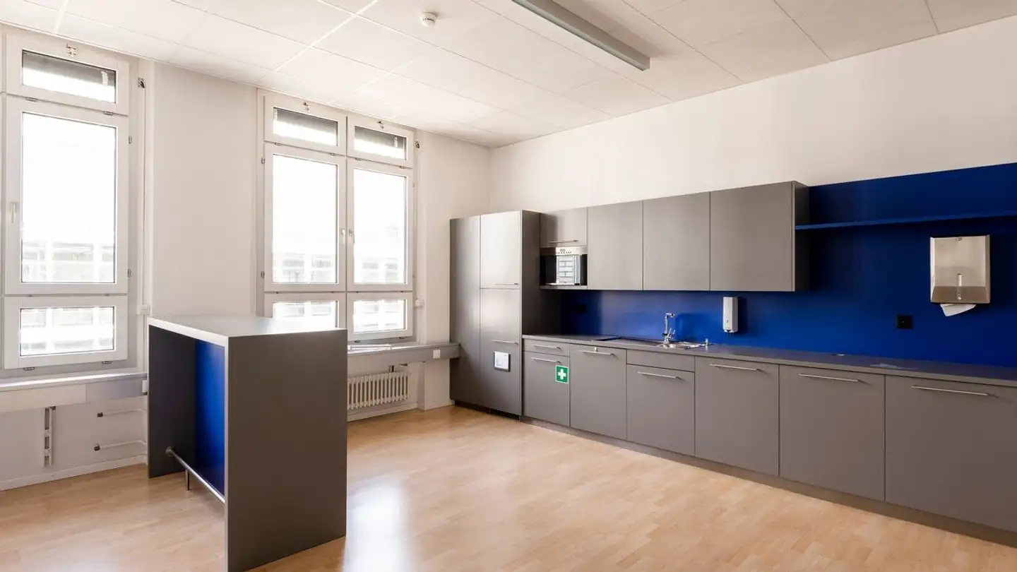Commercial à louer - Elias-Canetti-Strasse, 8050 Zürich - Photo 2