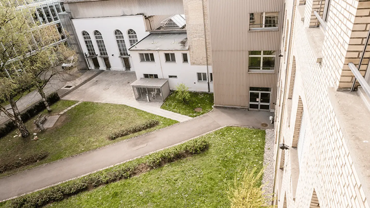 Commercial à louer - Elias-Canetti-Strasse, 8050 Zürich - Photo 4