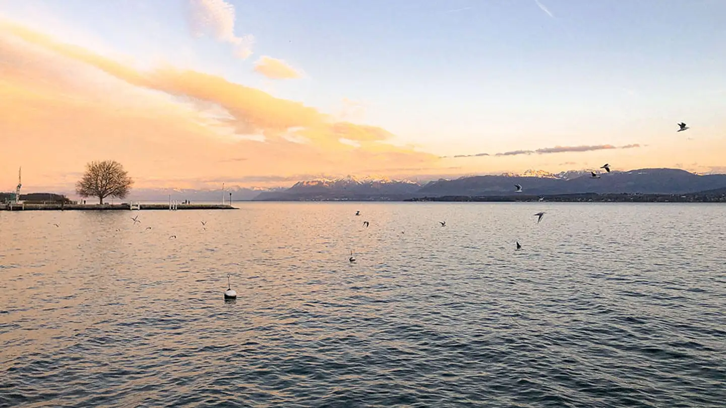 Apartment for sale - 1260 Nyon