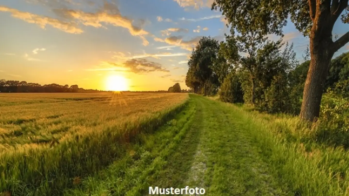 Bien immobilier à vendre - Chemin De Chalamont, 1434 Ependes VD