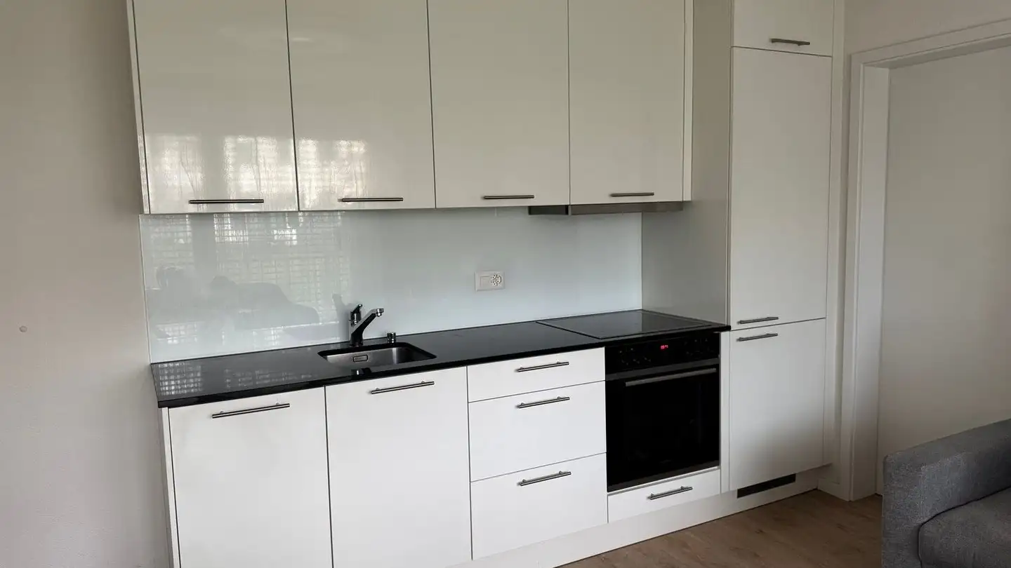 Appartamento in affitto - Langwiesenstrasse 12, 8408 Winterthur