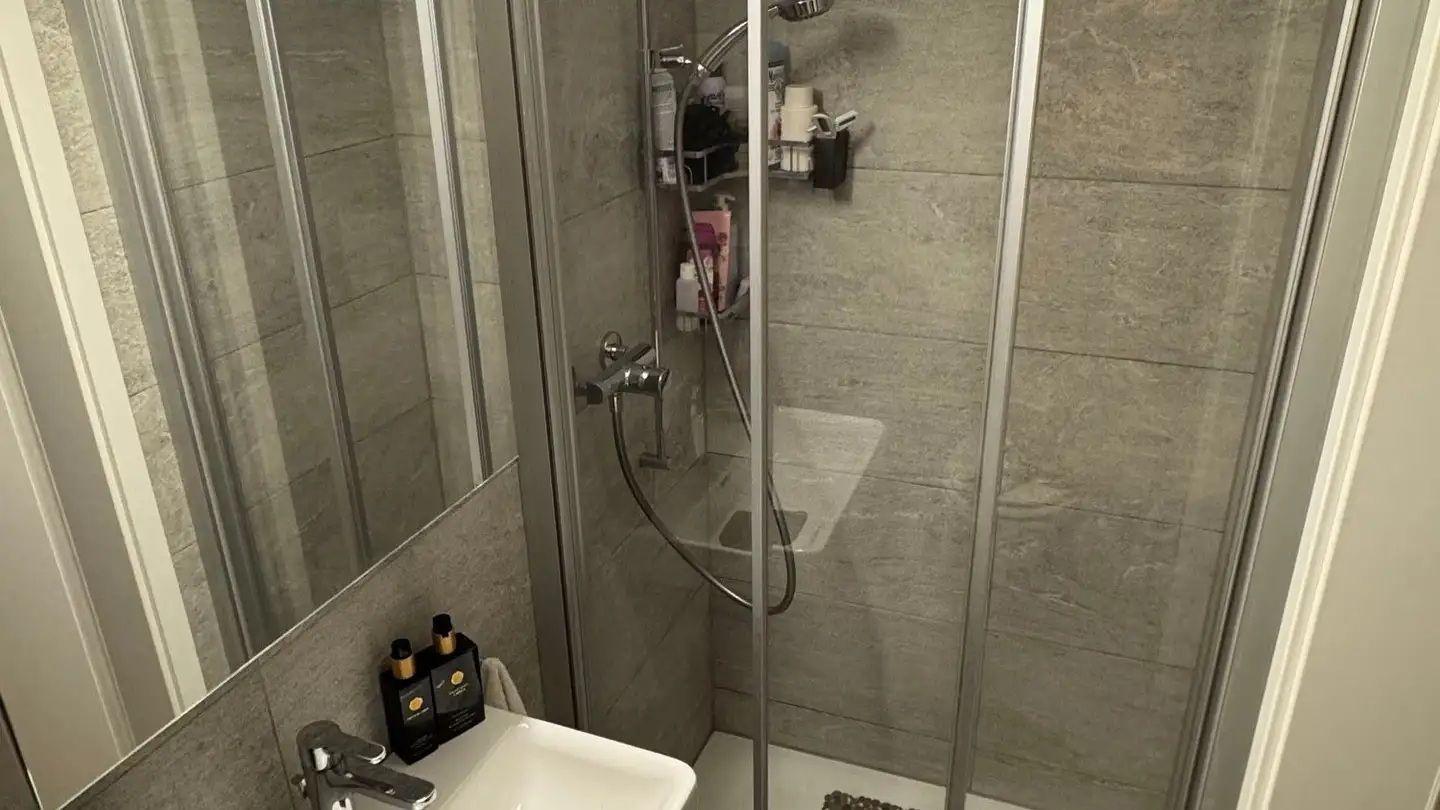 Appartamento in affitto - Langwiesenstrasse 12, 8408 Winterthur - Foto 2