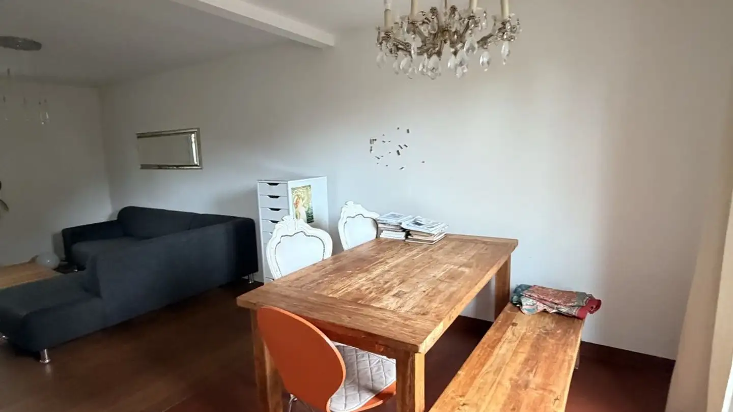 Single house for rent - 8400 Winterthur - Photo 3