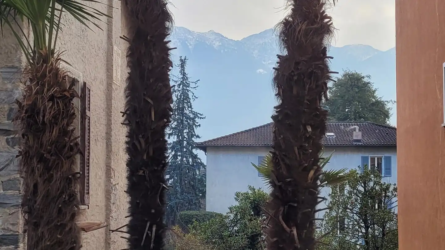 Bureau à louer - Via Giuseppe Motta 7, 6648 Minusio