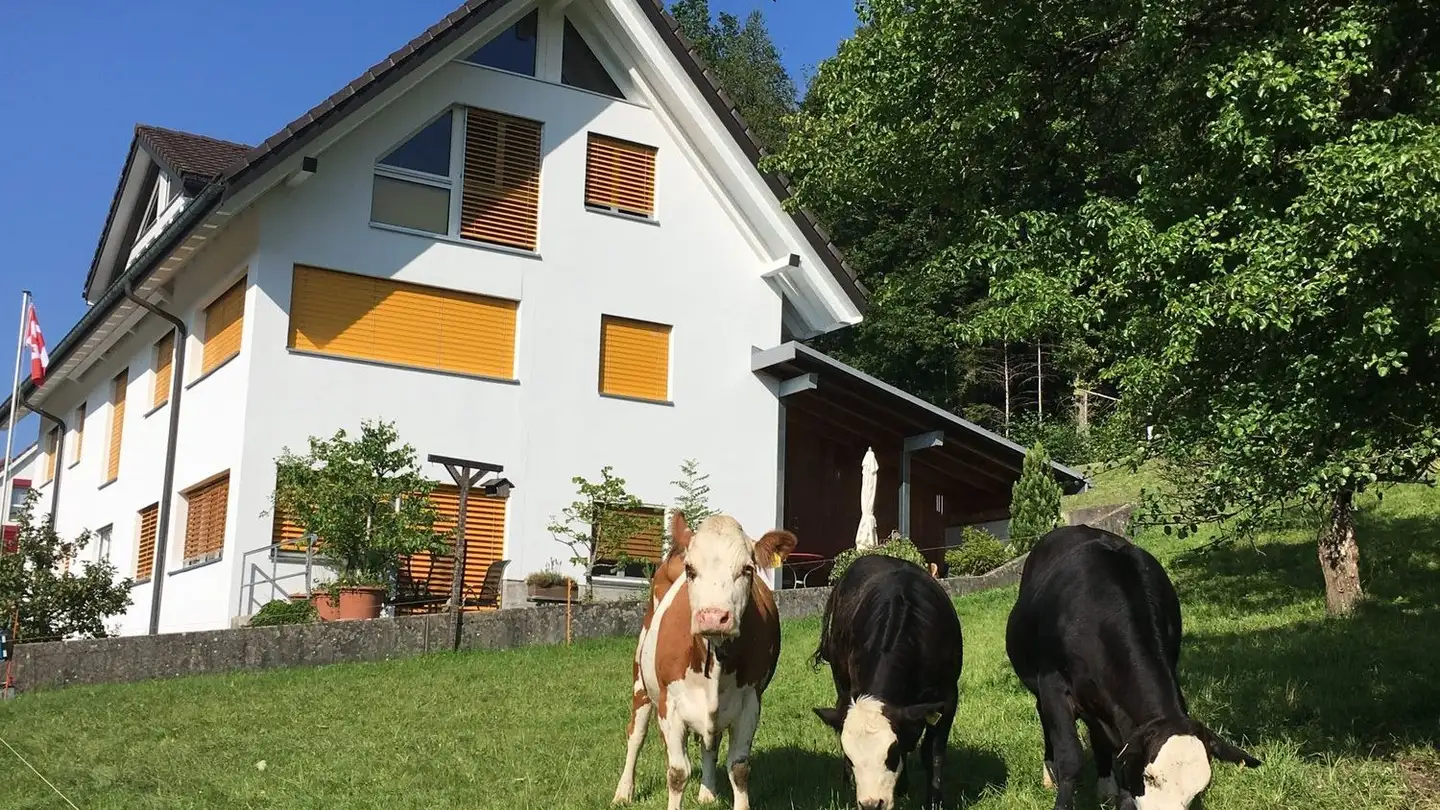 Wohnung mieten - Alte Bürenstrasse 46, 4206 Seewen SO