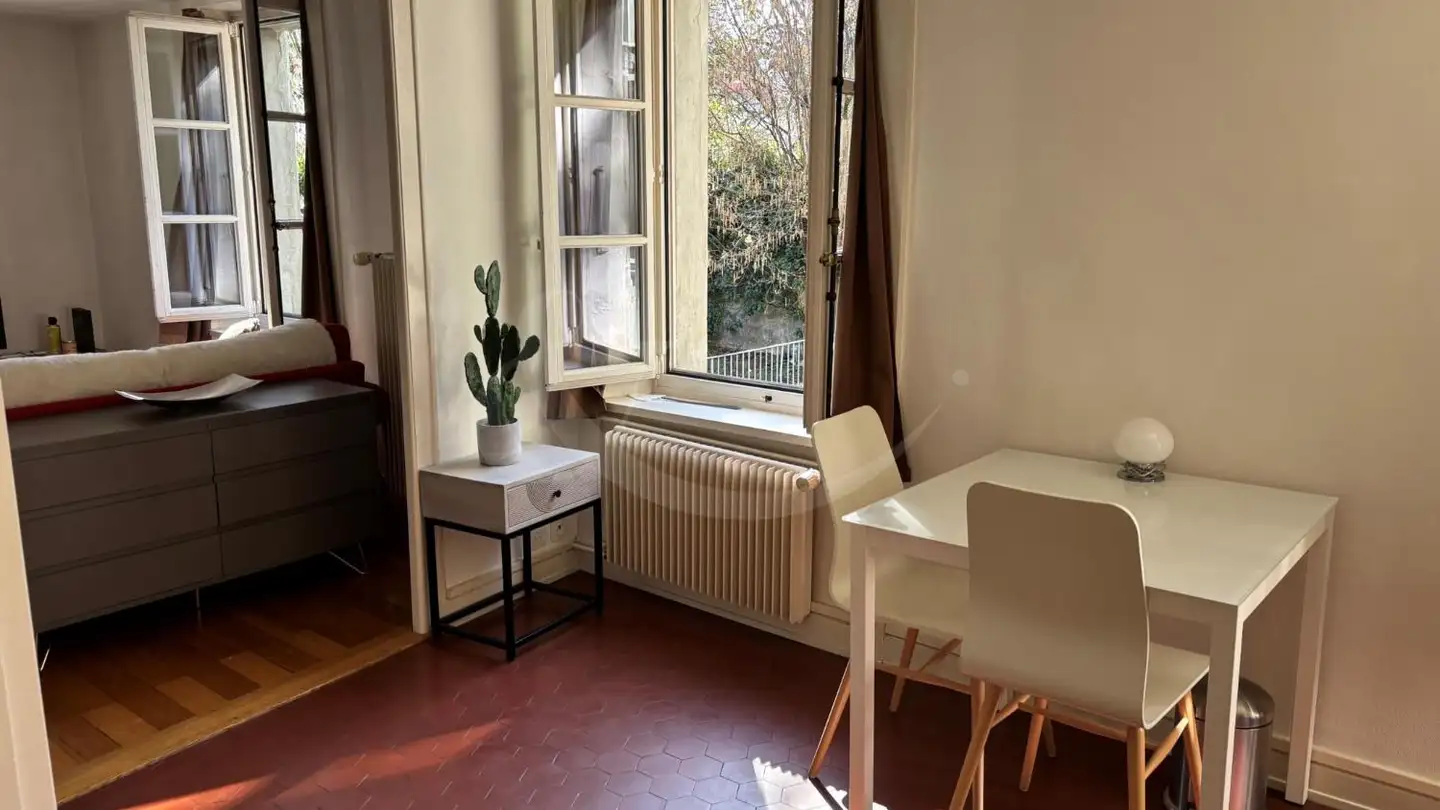 Appartamento in affitto - Rue Ancienne 27, 1227 Carouge GE