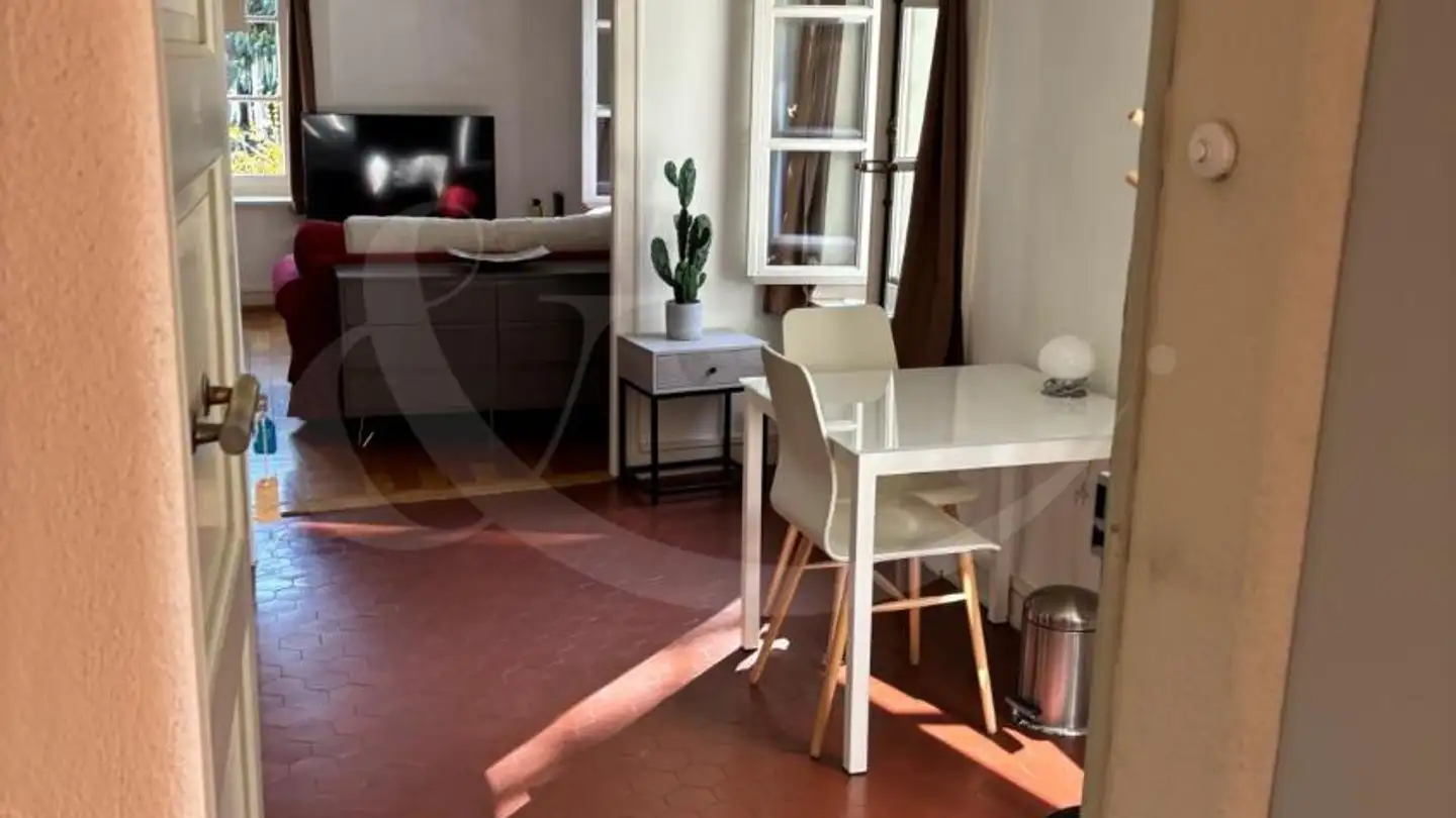 Appartamento in affitto - Rue Ancienne 27, 1227 Carouge GE - Foto 2