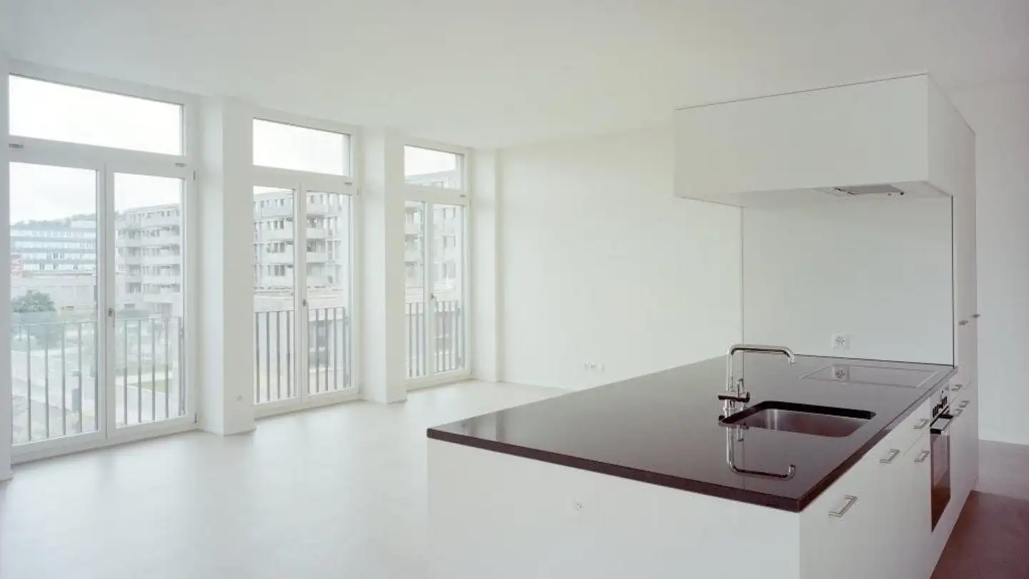 Loft in affitto - Else-Züblin-Strasse 90, 8404 Winterthur - Foto 4