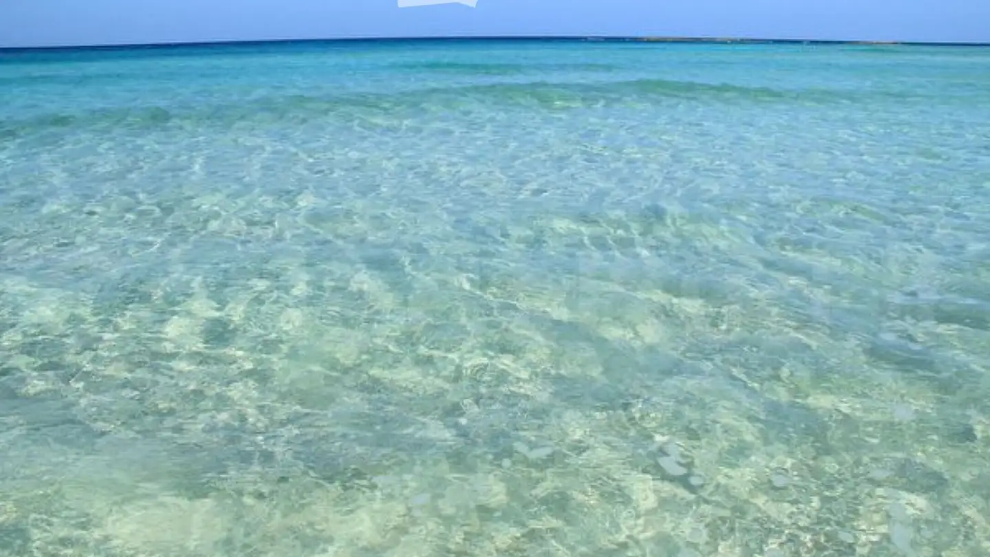 Maison individuelle à louer - 6592 S. Antonino - Photo 4