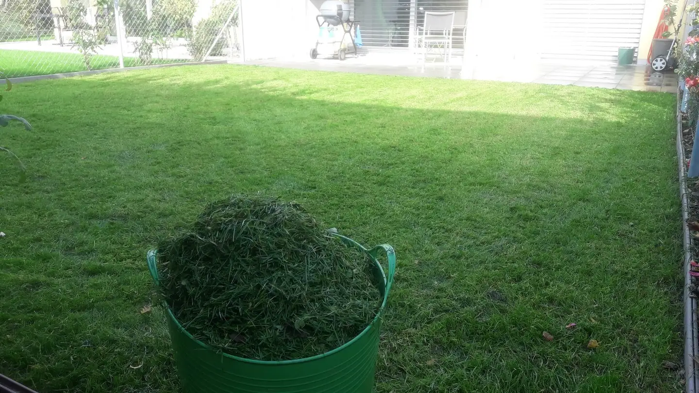 Wohnung kaufen - 5610 Wohlen AG - Foto 2