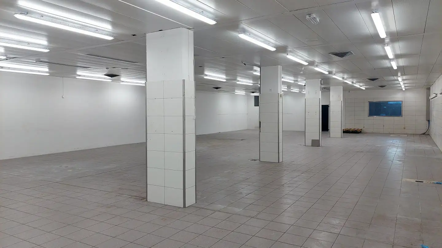 Gewerbe mieten - Burgstrasse 14, 3600 Thun - Foto 2