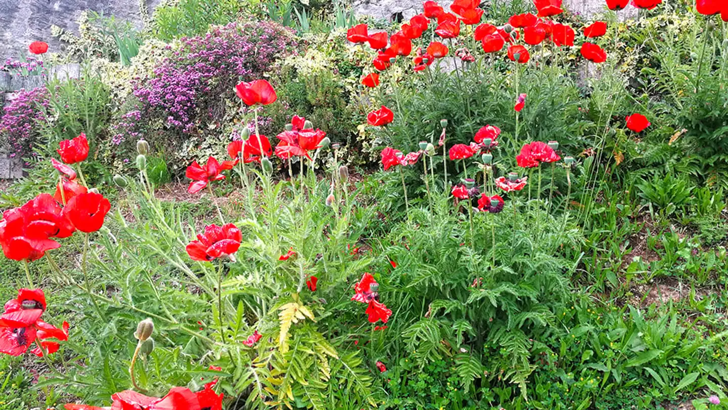 Villa in vendita - 1422 Grandson - Foto 2