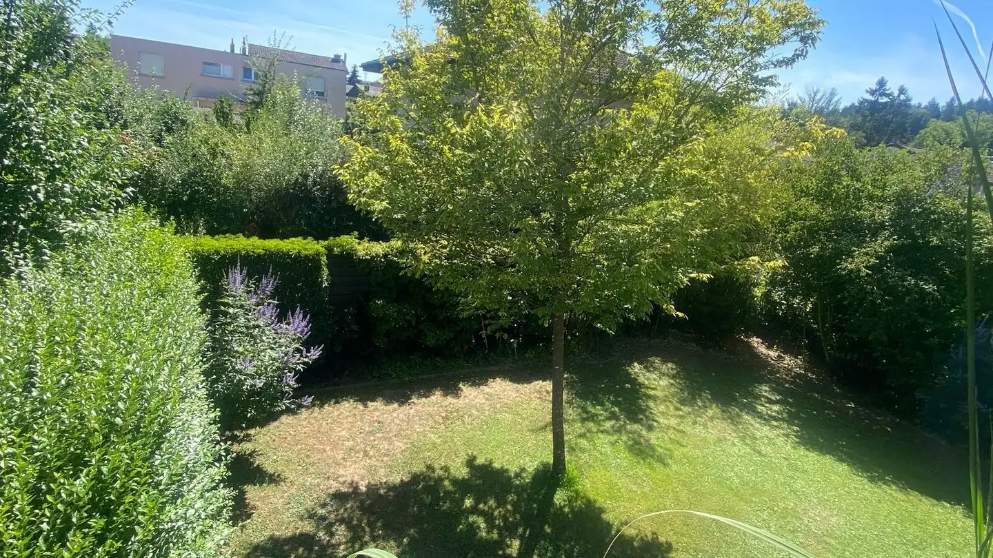 Appartamento in affitto - Grenzweg 15, 5036 Oberentfelden - Foto 4