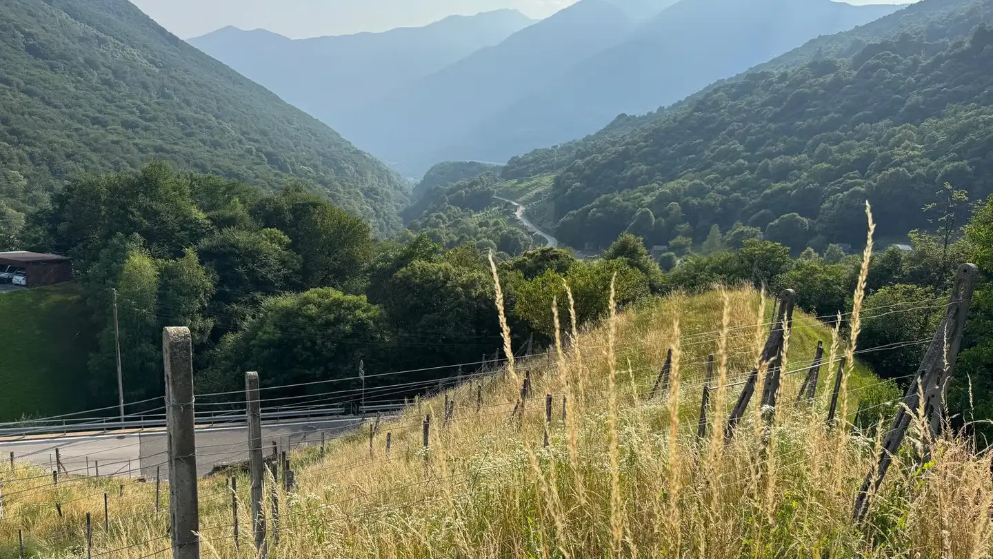 Constructible plot for sale - Via Camoghè, 6809 Medeglia - Photo 3