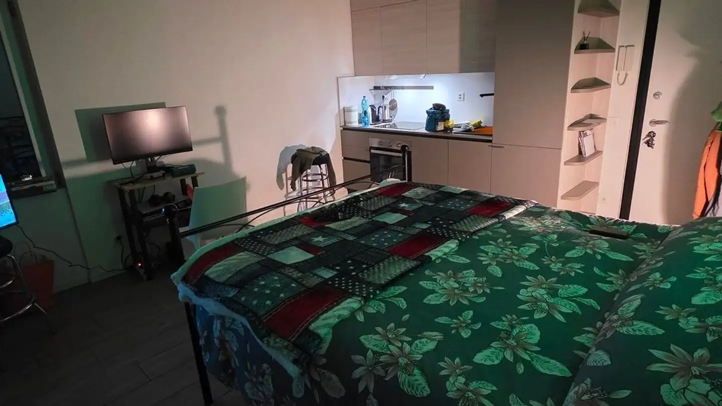 Appartamento in affitto - 6593 Cadenazzo - Foto 3